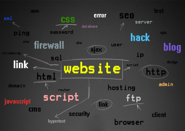 Building a Full-Stack App with the TALL Stack